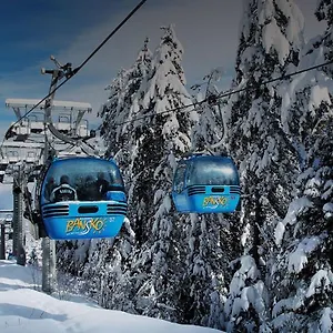 Katy's Bansko